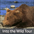Alaska Into the Wild Tour